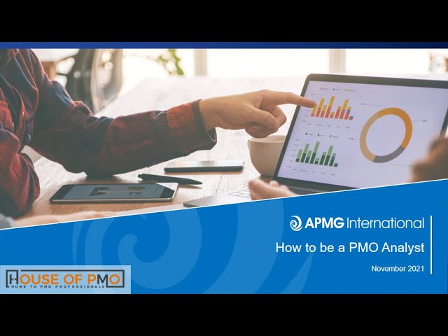 How to be a PMO Analyst