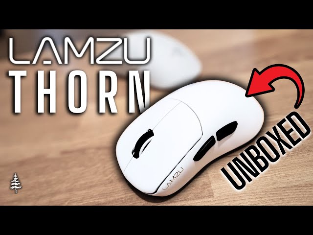 Lamzu Thorn 4K Unboxed || The End Game Ergo Pointer?