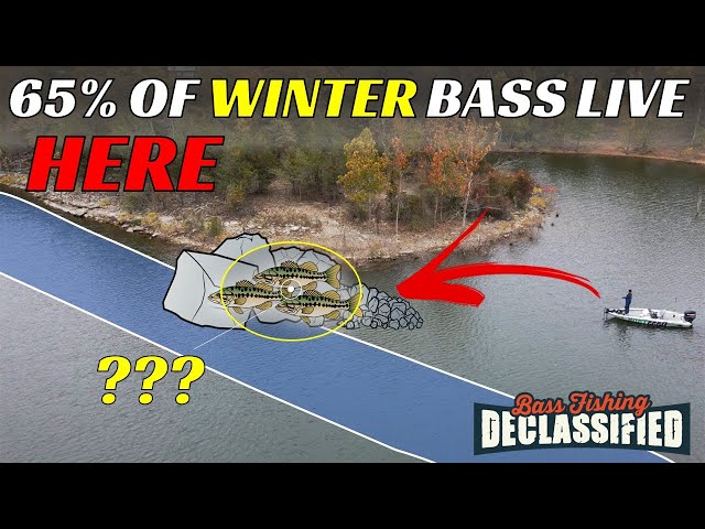 Easy Winter Bass Fishing Pattern To Catch Bass All Day Long