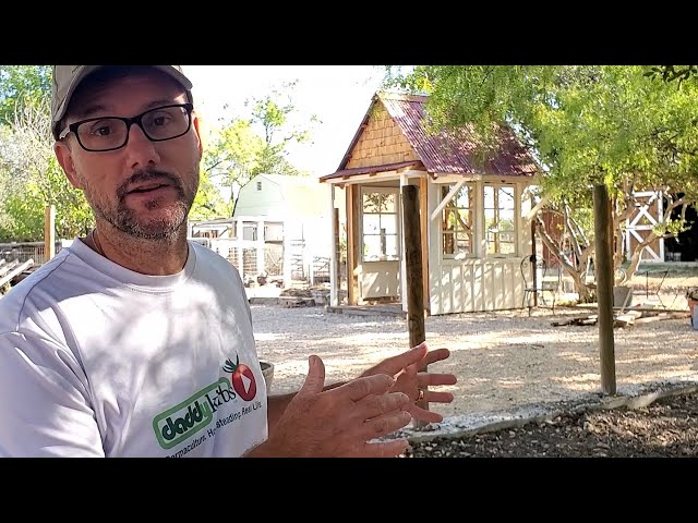 Designing the Dream Shed with Salvaged Materials