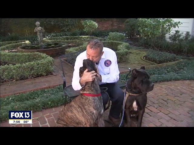 'Corsos for Heroes' donates dogs to veterans
