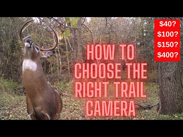 HOW TO Choose the best trail camera for your needs and budget