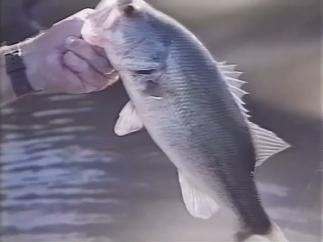 Larry Nixon - River Bass Fishing