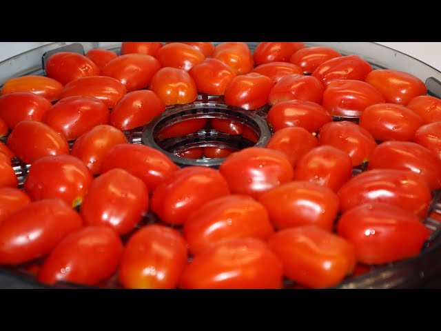 Dehydrating Grape Tomatoes - Preserving the Garden Harvest