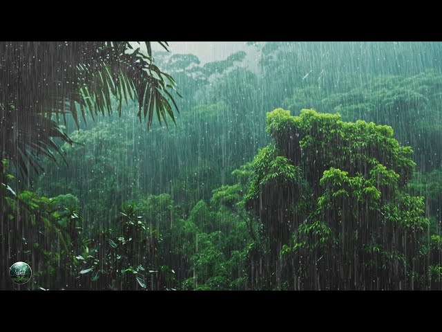 Relaxing Sleep Music + Insomnia: Relaxing Piano Music & Soft Rain Sounds For Sleep & Relaxation