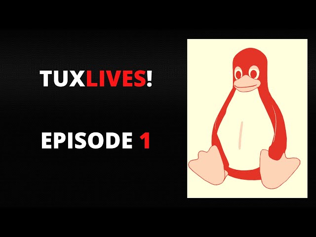 TuxLives! Episode 1- First Month Full Linux Pros/Cons + Responding To Top 10 Viewer Questions!