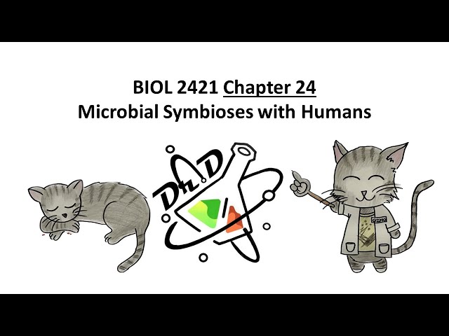 BIOL2421 Chapter 24 - Microbial Symbioses with Humans