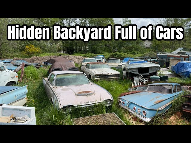 Hidden Backyard Full of Classic Cars!