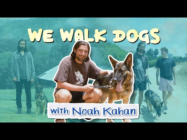 Noah Kahan Can't Stop Writing Songs About Dogs | WeWalkDogs