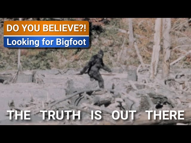 Does BIGFOOT sheet in the woods?