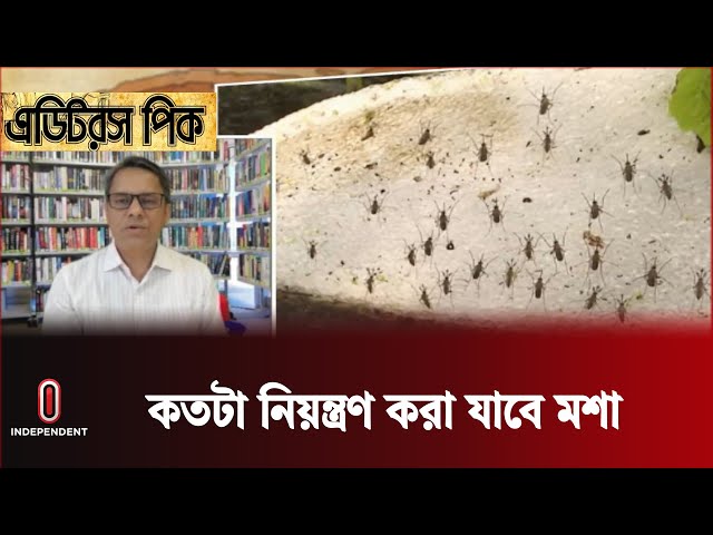 বিটিআইয়েই দিয়ে কি ঢাকা সিটির মশা নিয়ন্ত্রণ করা যাবে || Dhaka ||  Independent TV