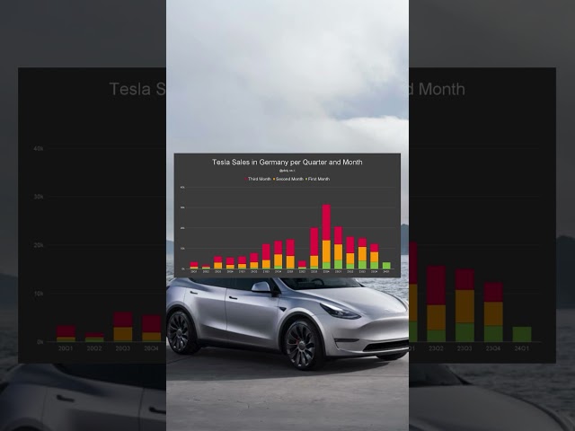 Tesla 2024 - Der Januar beginnt nicht so wie erhofft!