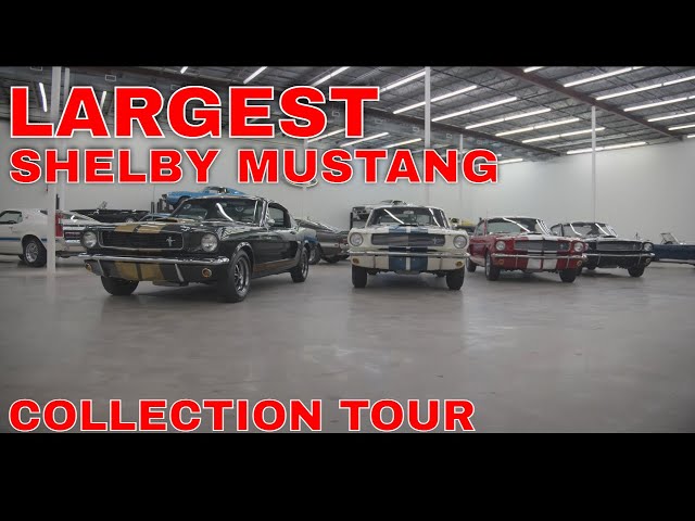 WE FOUND The Largest FORD/SHELBY Performance Car Collection Pt 1.