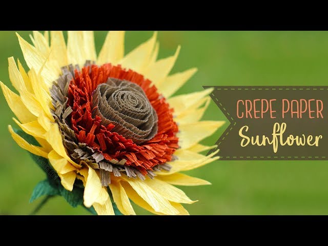 How To Make Crepe Paper Sunflowers!