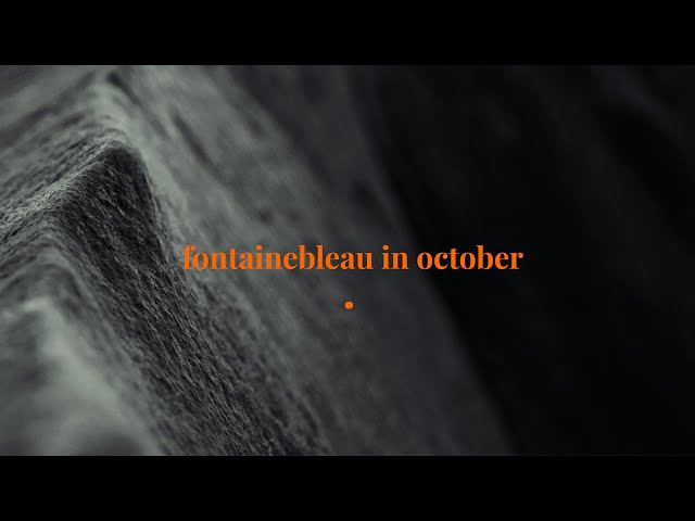 Fontainebleau Bouldering | October 2022