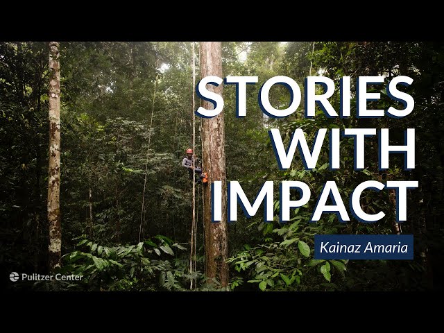 Kainaz Amaria & Supertrees | Stories with Impact