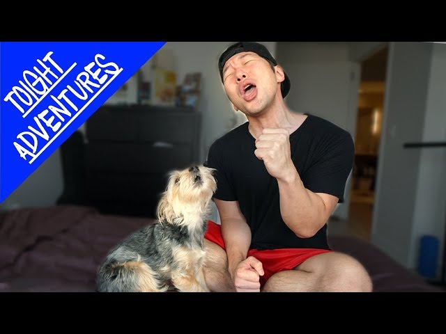 I TAUGHT MY DOG TO SING BTS!!!  (KPOP IN PUBLIC)