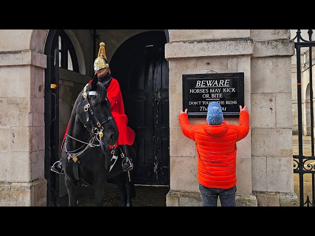 CHEEKY TOURIST STRAIGHTENS the 'BEWARE Horses May Kick or Bite' Sign at Horse Guards!