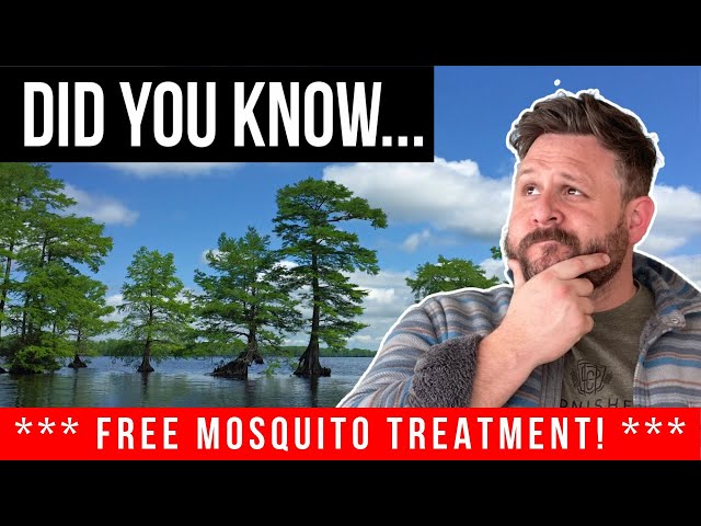 6 Things you NEED to know BEFORE moving to Chesapeake Virginia (Free mosquito treatment!)