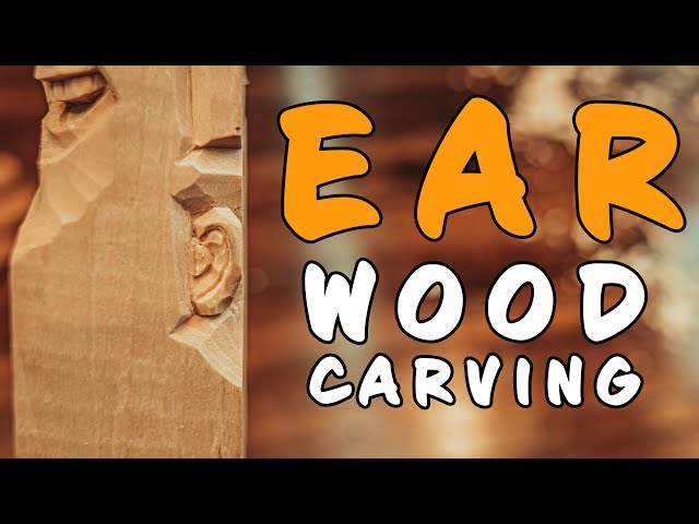 Step-By-Step Guide On How To Carve A Ear