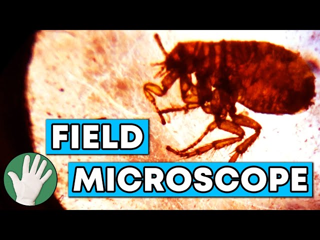 Field Microscope - Objectivity 30