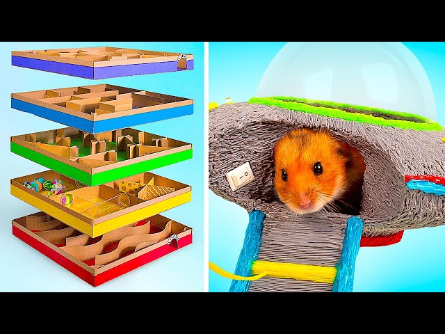 Fun DIY Crafts For Active Hamsters || 5-level Maze And Flying Saucer