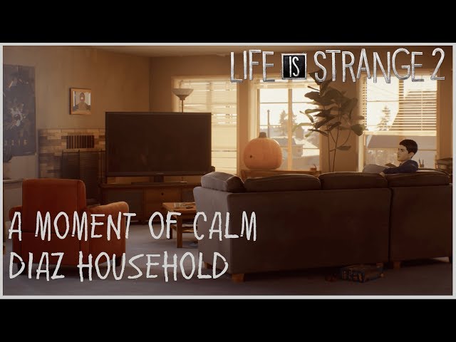 A Moment of Calm - Diaz Household