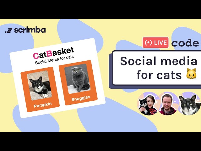 Live-code a cat social media site! HTML, CSS & JavaScript 🐱