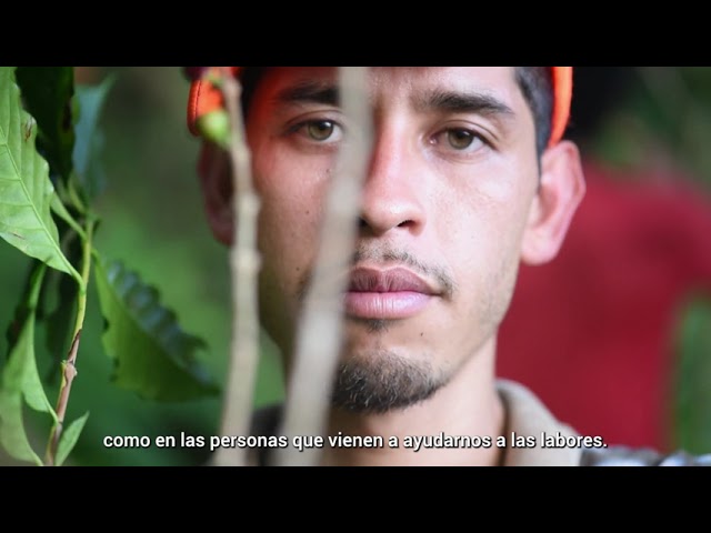 Seguridad y salud en el trabajo para el desarrollo comunitario agrícola en Chiapas - México