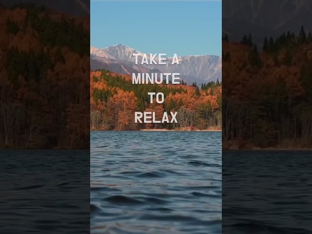 Relaxing Water Sounds - No music - Just nature  #shorts