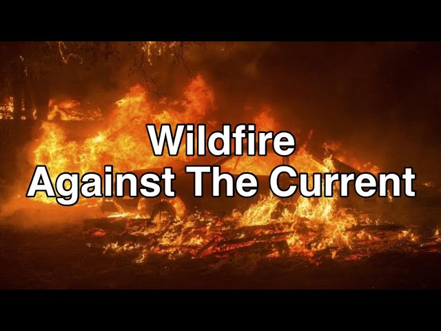 Against The Current - Wildfire [Tradução/Legendado]