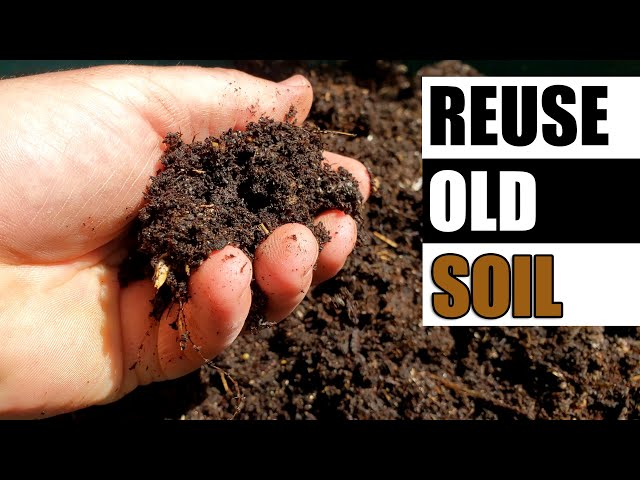 5 Ways To Reuse Old Soil - Garden Quickie Episode 93