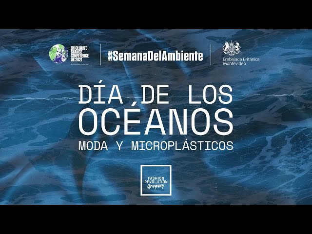 World Oceans Day / Día de los Océanos: Moda y Microplásticos