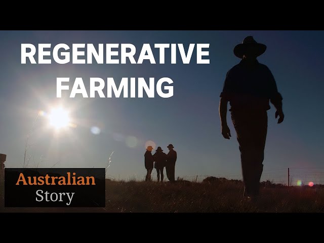 Regenerative farming: A 'natural way' to help counteract drought | Charlie Massy | Australian Story