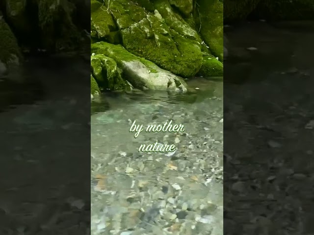 Relaxing Sound of a Clear Stream