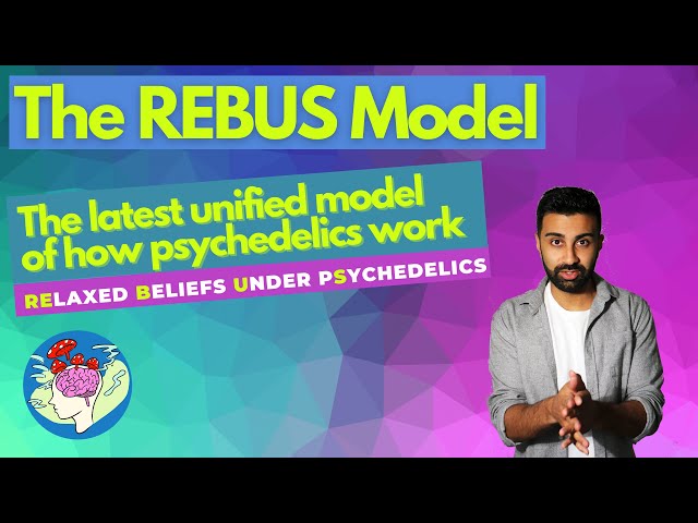 REBUS: The Latest Unified Model of How Psychedelics Work | Relaxed Beliefs Under pSychedelics