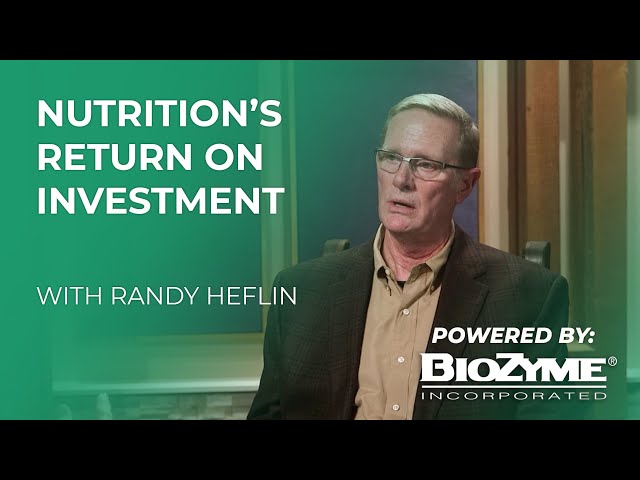 Feeding Value 2.0 – Nutrition’s Return on Investment