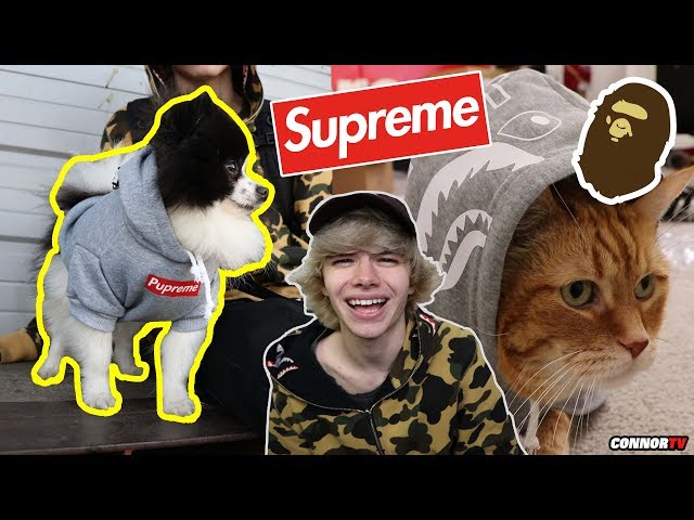 Turning my Cat and Dog into a Hypebeast! Supreme, Bape