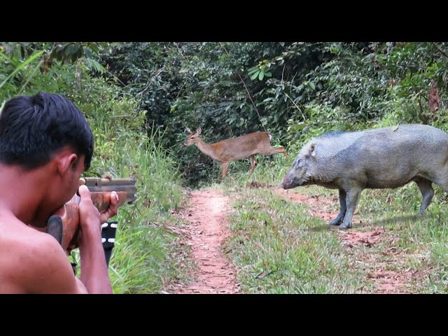 Full video: 3 day struggle of hunting wild boar, luring deer, hunting monitor lizards and wild birds