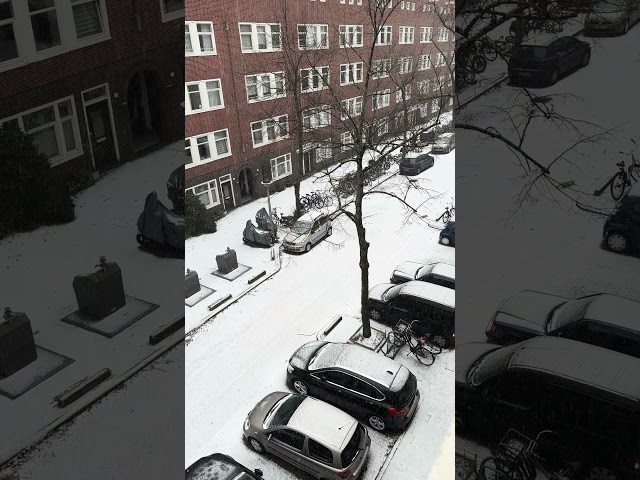 snowing in Amsterdam ❄️ #snow #amsterdam #winter