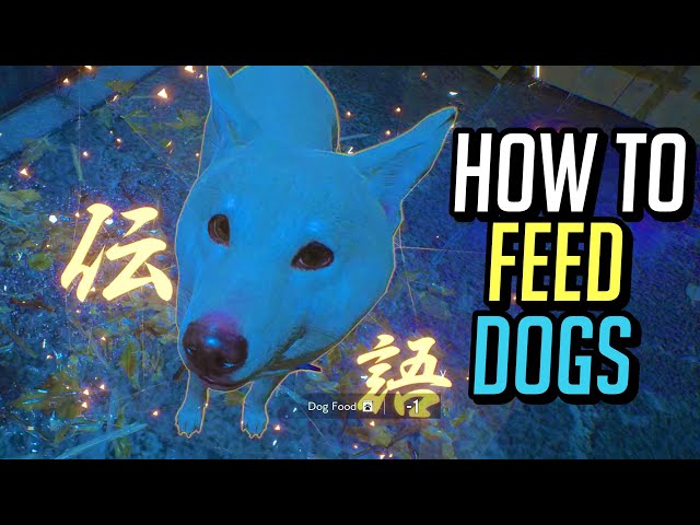 Ghostwire Tokyo How to Feed Dogs