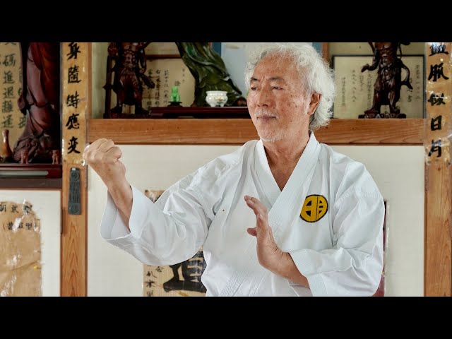 Too dangerous! Okinawa Karate Master's Amazing skills!