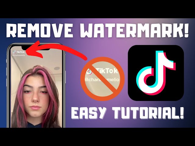 How to Save TikTok Videos Without the Watermark! | Remove TikTok Watermark (2024)