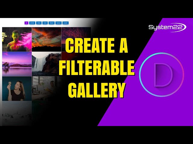 Divi Theme How To Create A FILTERABLE GALLERY