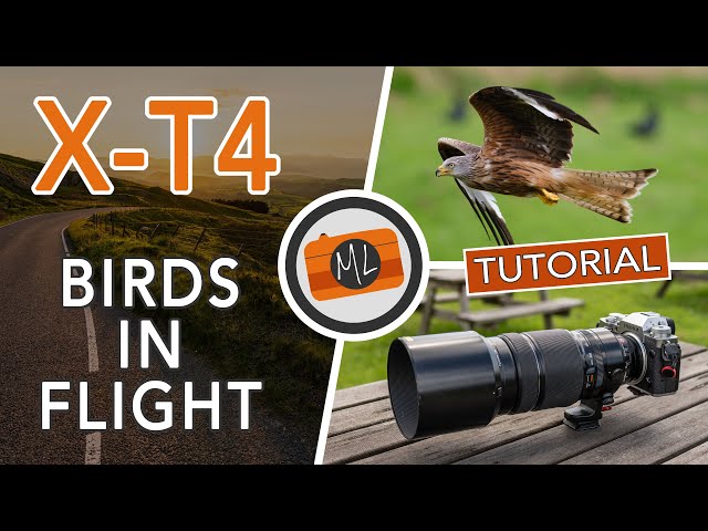 Fujifilm X-T4 Birds in Flight Review and Tutorial