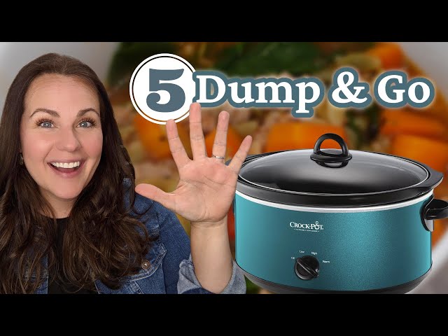 EASY DUMP AND GO SLOW COOKER DINNERS | FAVORITE FREEZER CROCK POT MEALS | FEEDING THE BYRDS