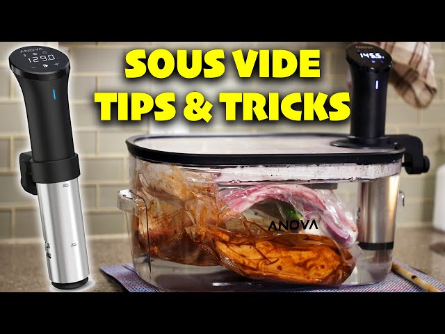 How to Use a Sous Vide + Tips & Tricks