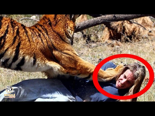 Top 10 Dumbest Zoo and Park Guests Caught On Camera - Wild Animal Attacks and Encounters