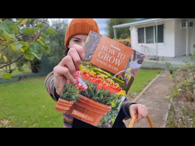 How to plant tulips and other bulbs  - Aussie One Acre Homestead