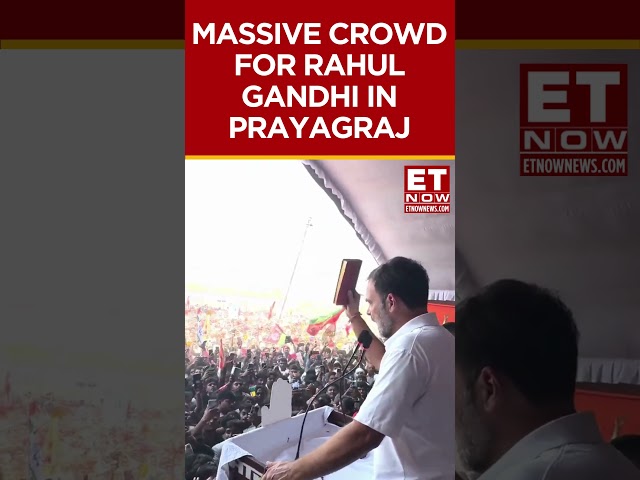 Massive Crowd Comes Out To Show Support To Rahul Gandhi | Lok Sabha Election #shorts #rahulgandhi